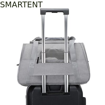 Multifunctional Pet Shoulder Bag Rabbits Suitable Endearing Pet Accouterments For All Ages Comfortable Durable Stylish Pet Accessories 협력 업체