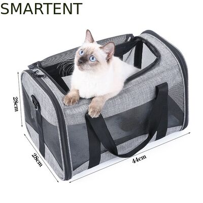 Large Cute Pet Supplies Unisex Indoor Outdoor Gear for Active Pets Featuring Comfortable Collars Leashes and Carriers 협력 업체
