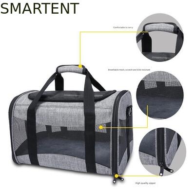 Large Cute Pet Supplies Unisex Indoor Outdoor Gear for Active Pets Featuring Comfortable Collars Leashes and Carriers 협력 업체