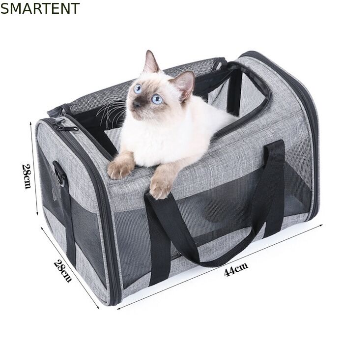 Large Cute Pet Supplies Unisex Indoor Outdoor Gear for Active Pets Featuring Comfortable Collars Leashes and Carriers 협력 업체